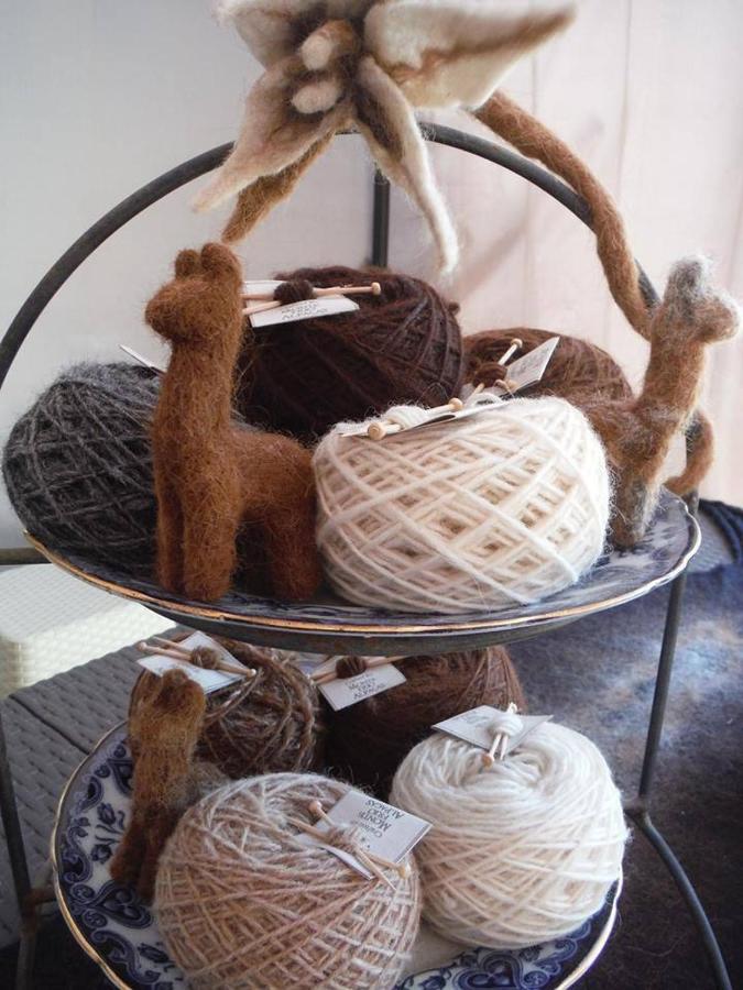 Monte Frio Alpacas Villa Nariz Esterno foto