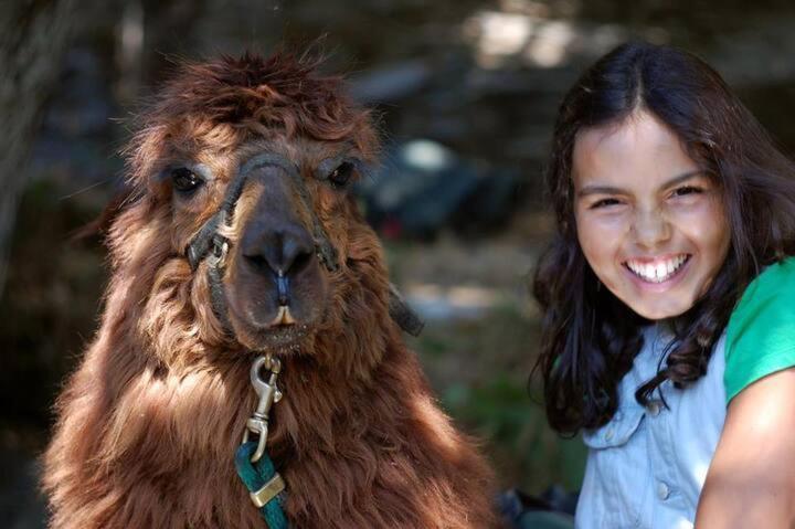 Monte Frio Alpacas Villa Nariz Esterno foto