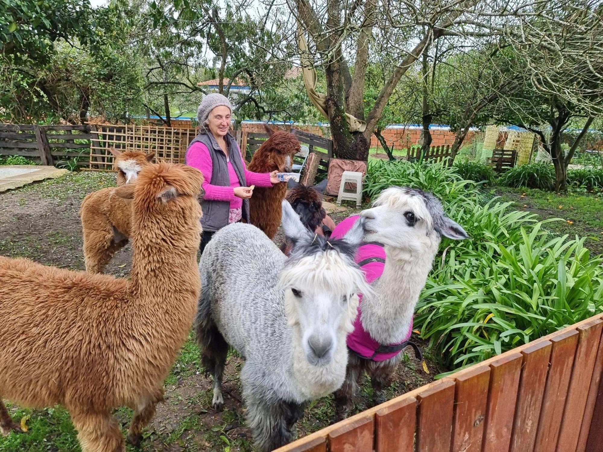 Monte Frio Alpacas Villa Nariz Esterno foto